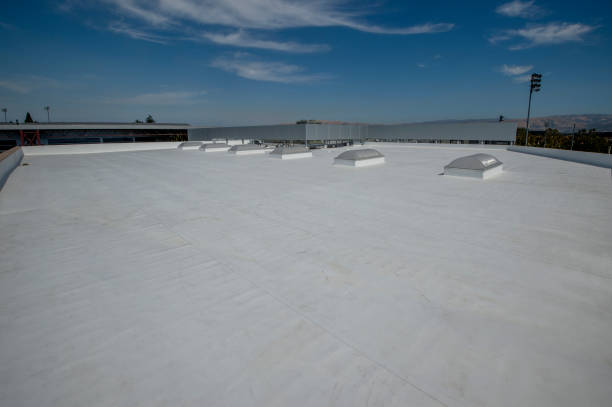 Best Flat Roofing  in Essexville, MI