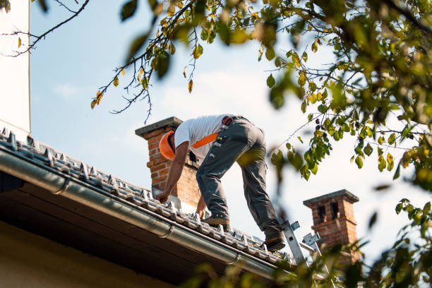 Best Roof Insulation Installation  in Essexville, MI